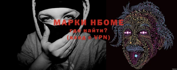мдпв Верея