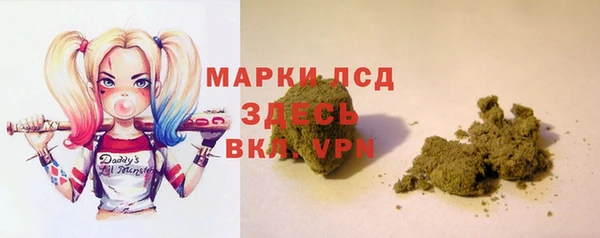 PSILOCYBIN Бородино