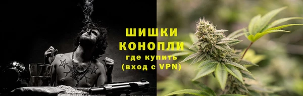 PSILOCYBIN Бородино