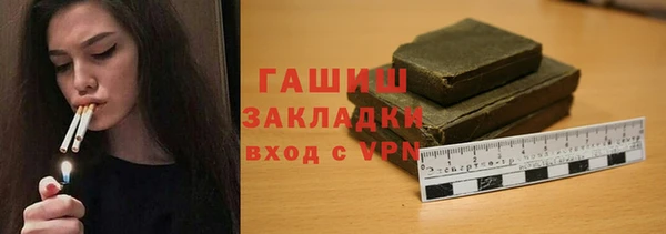 PSILOCYBIN Бородино