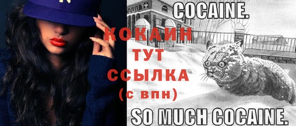 МДПВ Бугульма