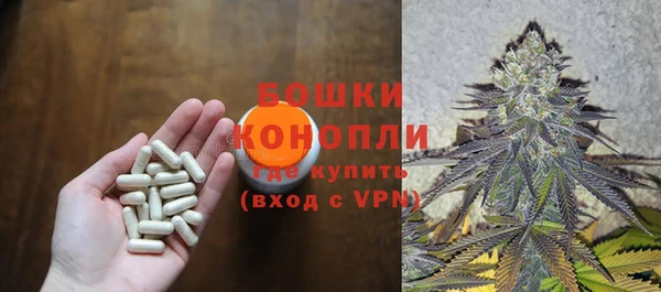 мдпв Верея