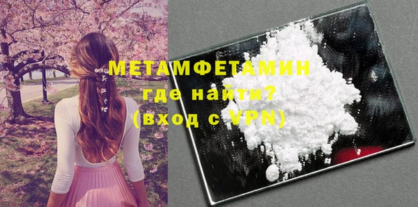 шишки Грязовец