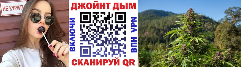 Бошки Шишки семена блэк спрут зеркало Купино